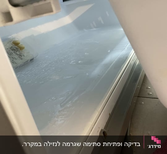 מדף מקרר ריק עם מעט קרח ומים